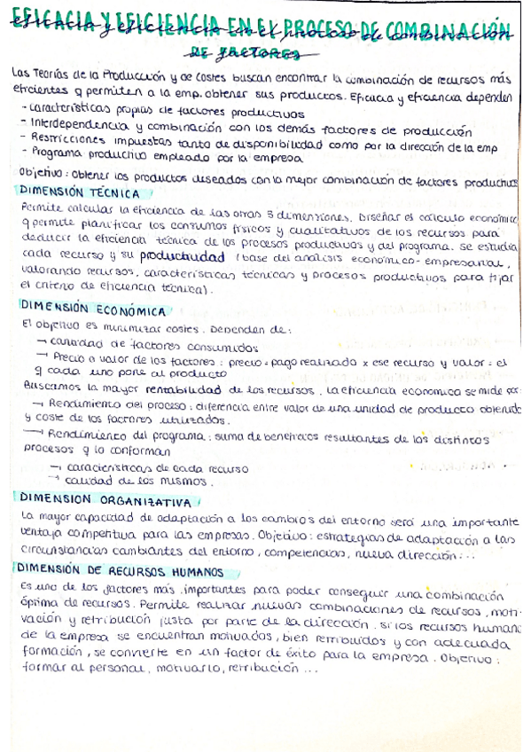 Miniatura del documento resumen-GOE-I.pdf