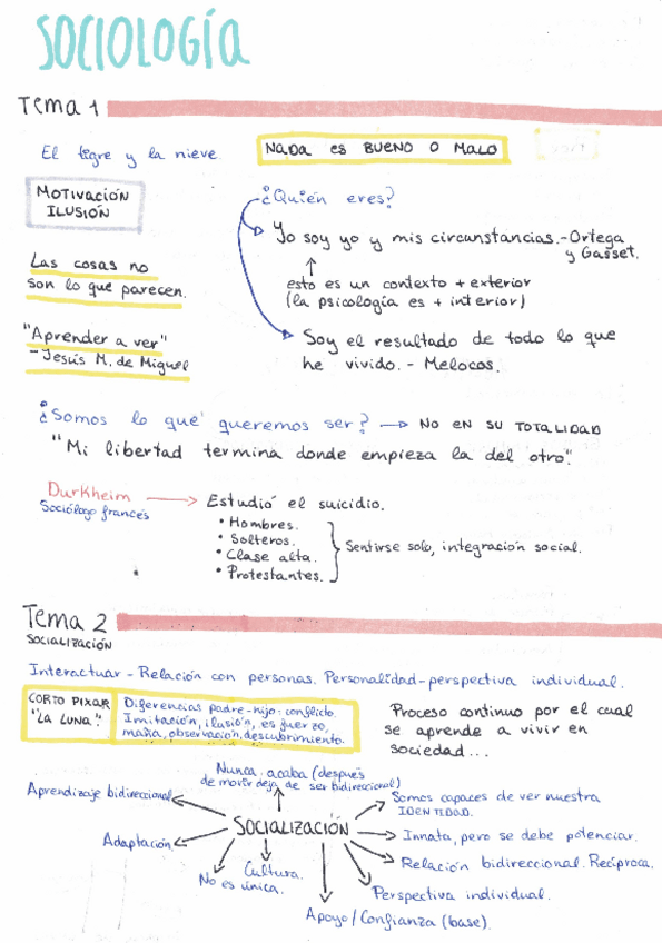 Miniatura del documento Sociologia-apuntes.pdf