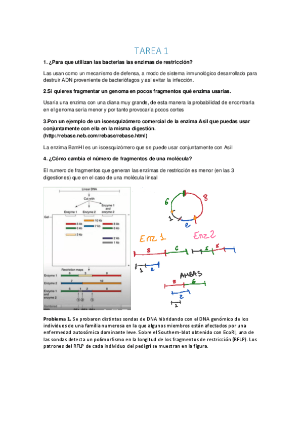 Miniatura del documento Ejercicios-de-GM-Temas-1-y2-Hechos-.pdf