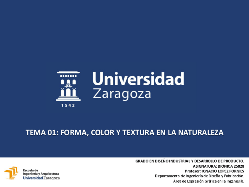 Miniatura del documento BIONICA_01_FORMA COLOR TEXTURA.pdf