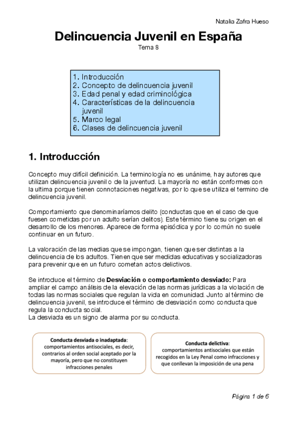 Miniatura del documento Delincuencia-Juvenil-en-Espana.pdf