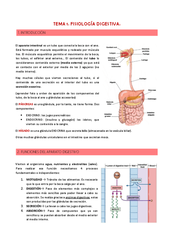 Miniatura del documento TEMA-1.pdf