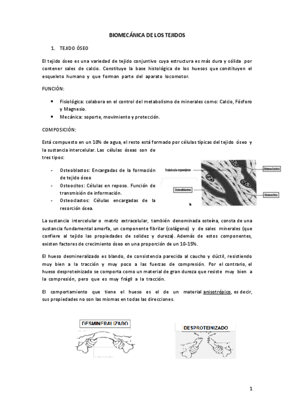 Miniatura del documento BIOMECANICA-DE-LOS-TEJIDOS.pdf