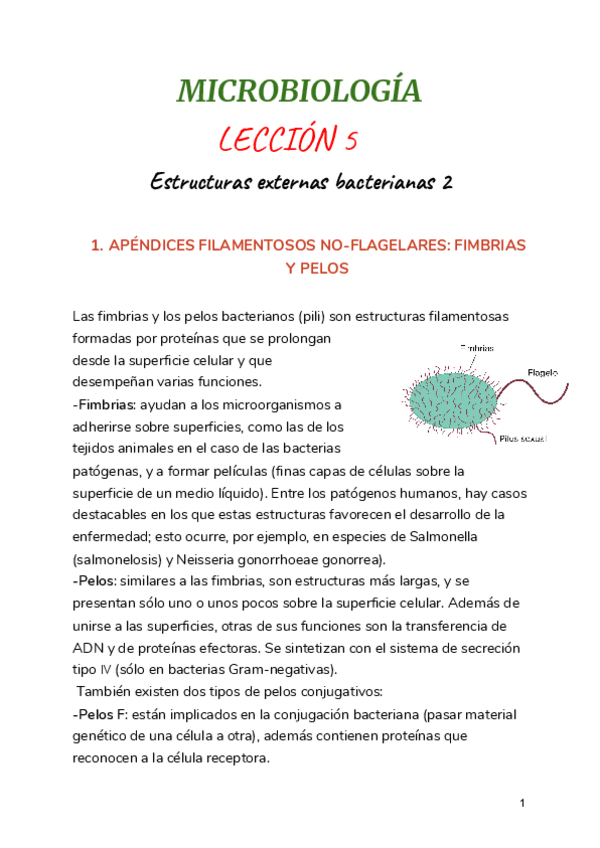 Miniatura del documento LECCION-5.pdf