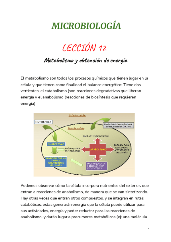 Miniatura del documento LECCION-12.pdf