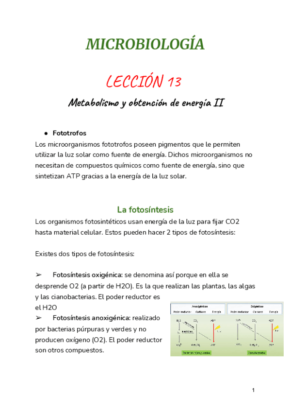Miniatura del documento LECCION-13.pdf