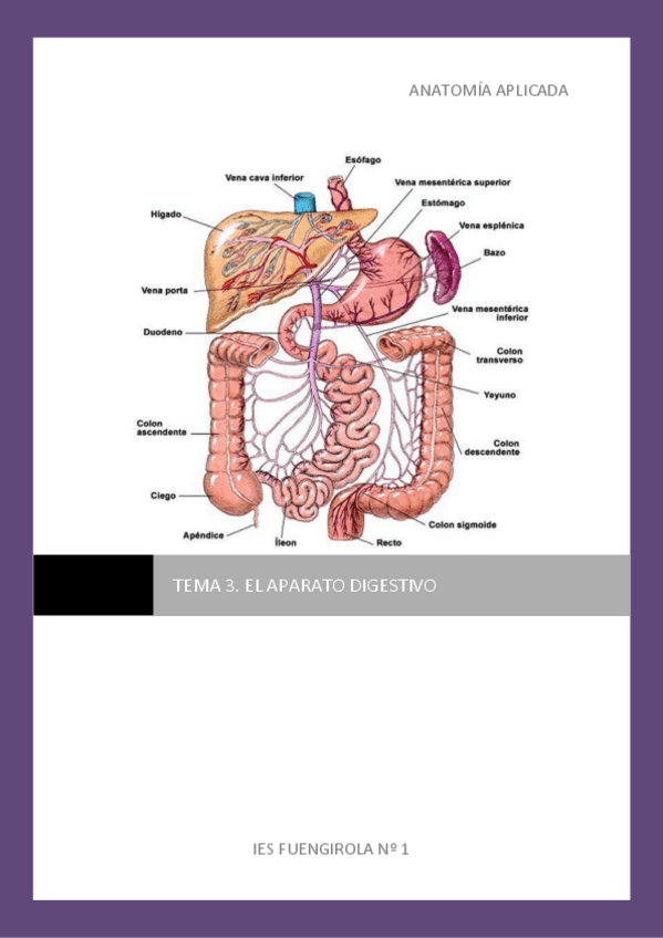 Miniatura del documento Tema-3.pdf