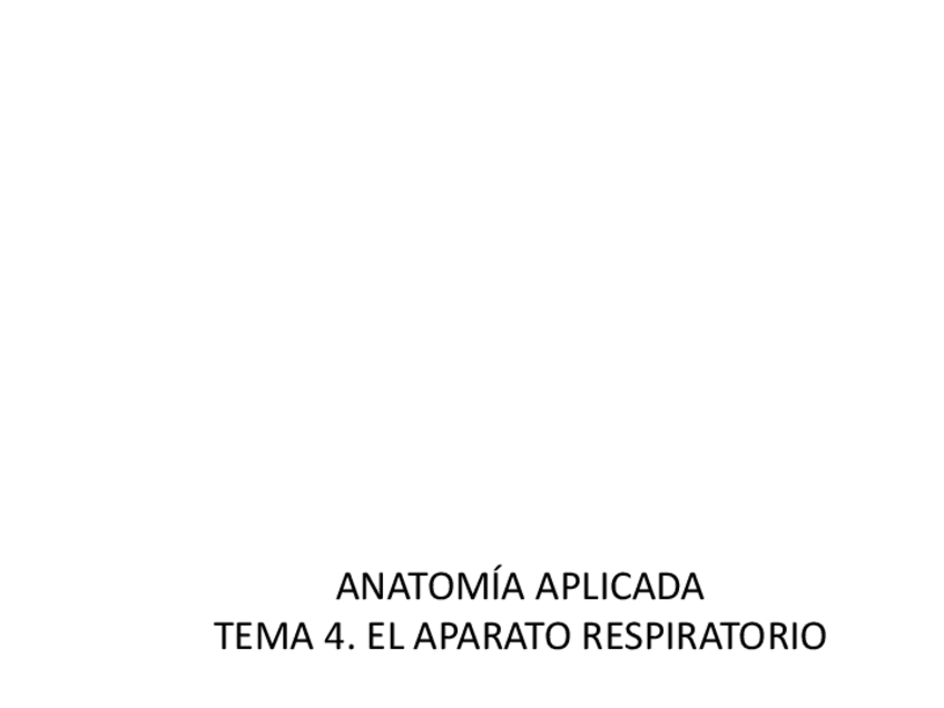 Miniatura del documento El-aparato-respiratorio-ppt.pdf