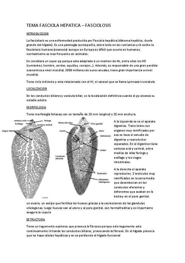 Miniatura del documento TEMA-FASCIOLA-IMPRIMIR.pdf