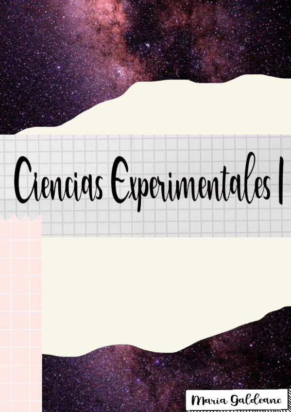 Miniatura del documento APUNTESCE2C.pdf