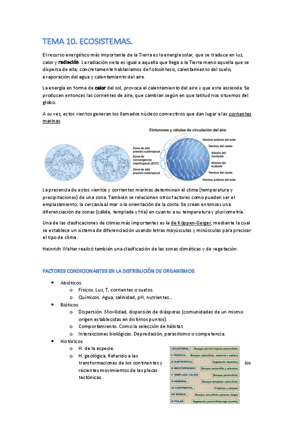 Miniatura del documento TEMA-10-convertido.pdf