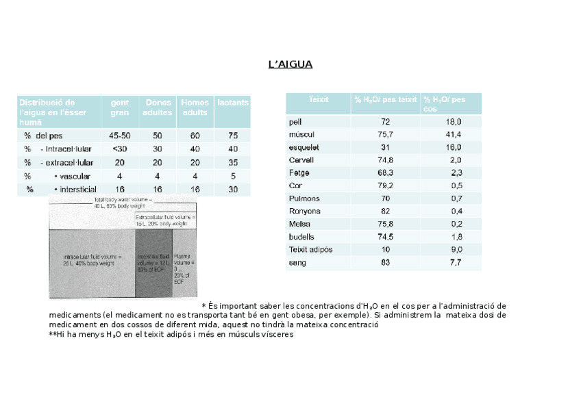 Miniatura del documento LAIGUA.docx