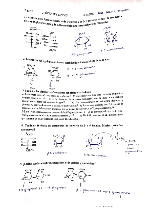 Miniatura del documento seminarios-bloques-I-II-III.pdf