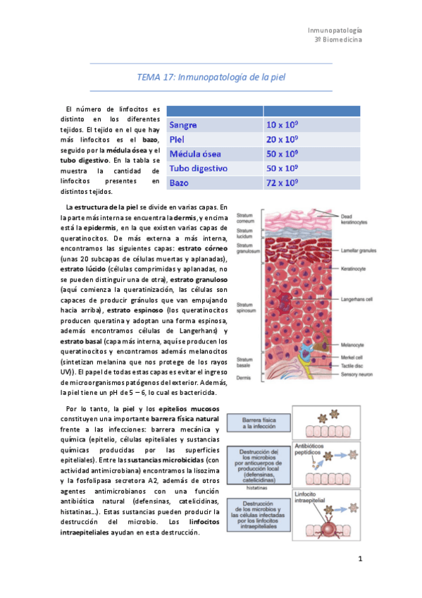 Miniatura del documento Tema-17.pdf