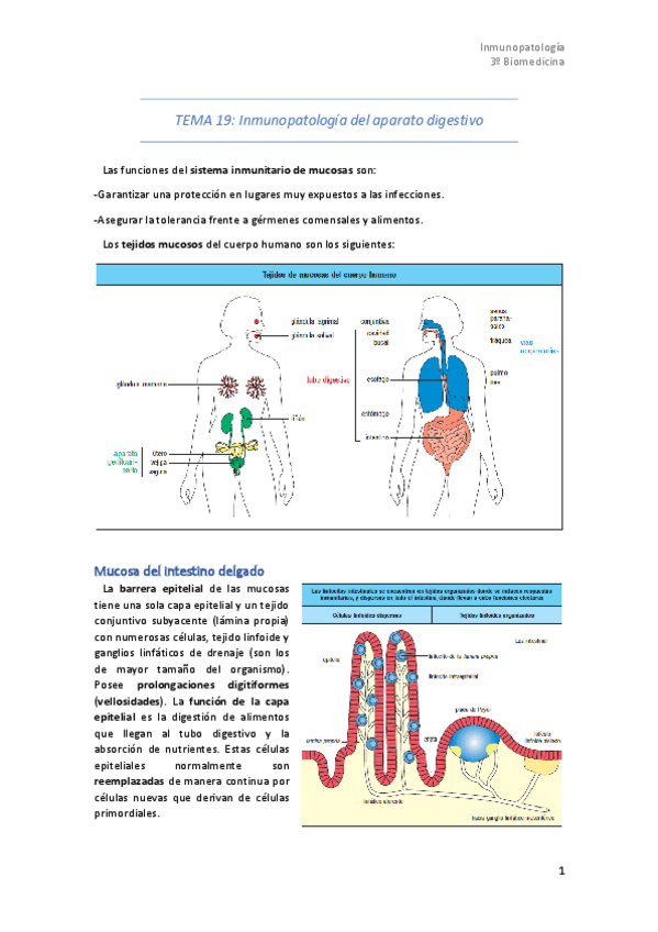 Miniatura del documento Tema-19.pdf
