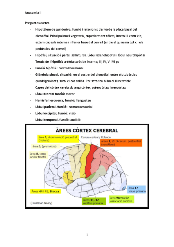 Miniatura del documento PreguntesanatoII2onparcial.pdf
