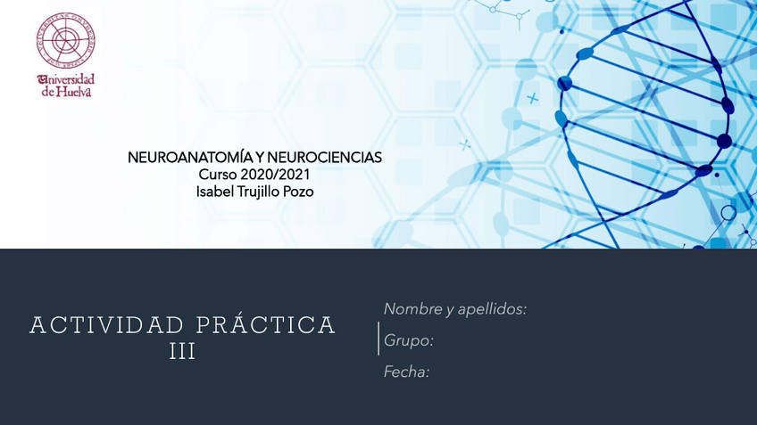 Miniatura del documento PRACTICA-2.pdf