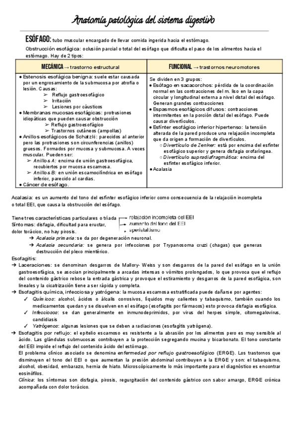 Miniatura del documento Anato-digestivo.pdf