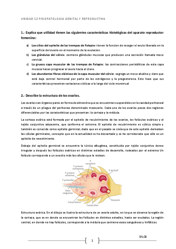 Miniatura del documento Tema-12-ejercicios.pdf
