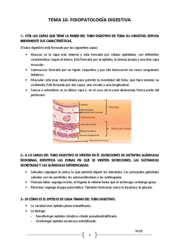 Miniatura del documento Tema-10-ejercicios.pdf