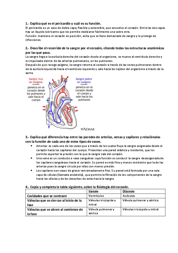 Miniatura del documento Tema-8-ejercicios.pdf