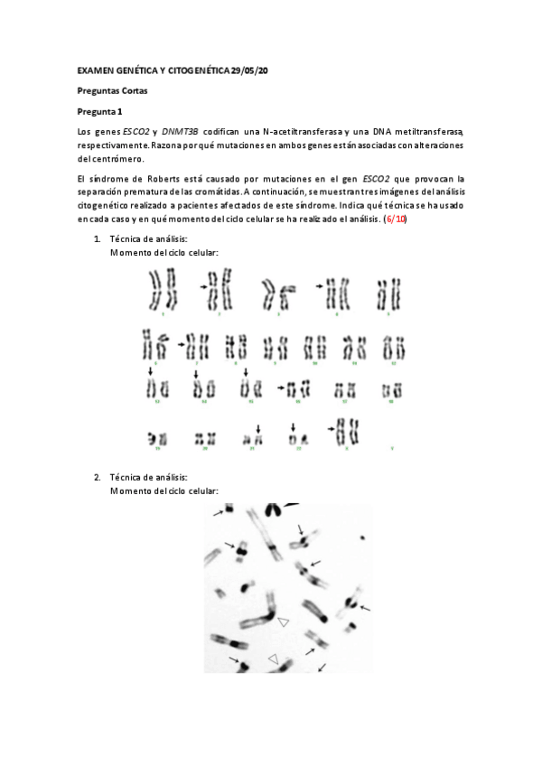Miniatura del documento Examen-Citogenetica-2020-Cuestiones.pdf