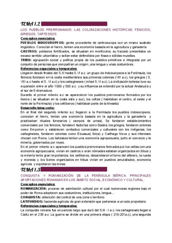 Miniatura del documento Temas-cortos-historia.pdf