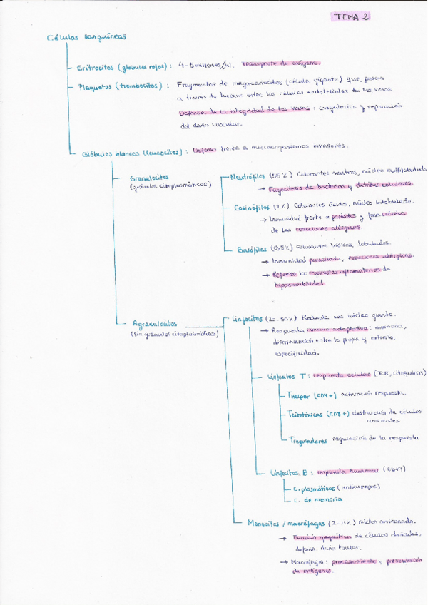Miniatura del documento ResumenesImportanteInmuno.pdf