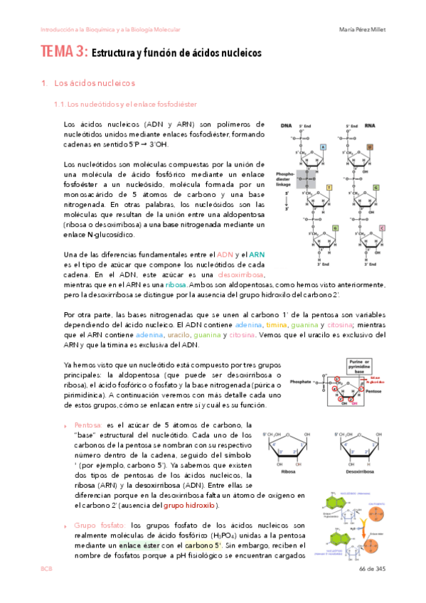 Miniatura del documento IBQyBM-temas-3-4.pdf