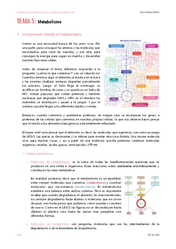 Miniatura del documento IBQyBM-t5.pdf