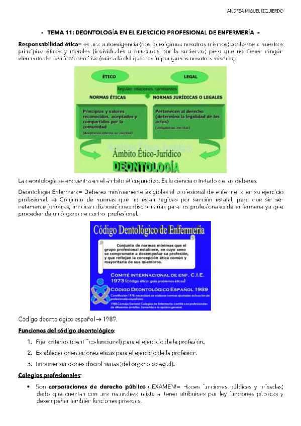 Miniatura del documento TEMA-11.pdf