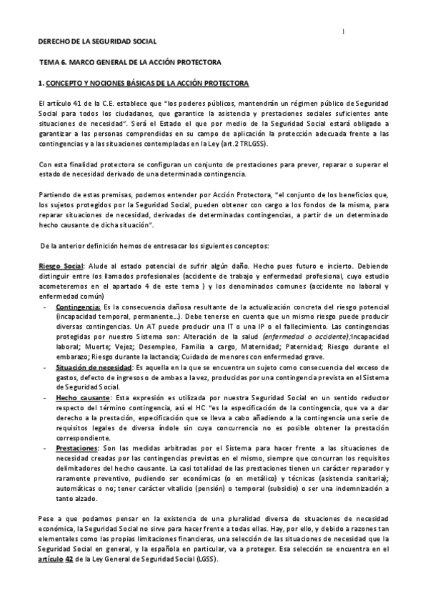 Miniatura del documento TEMA 6- Accion protectora.pdf