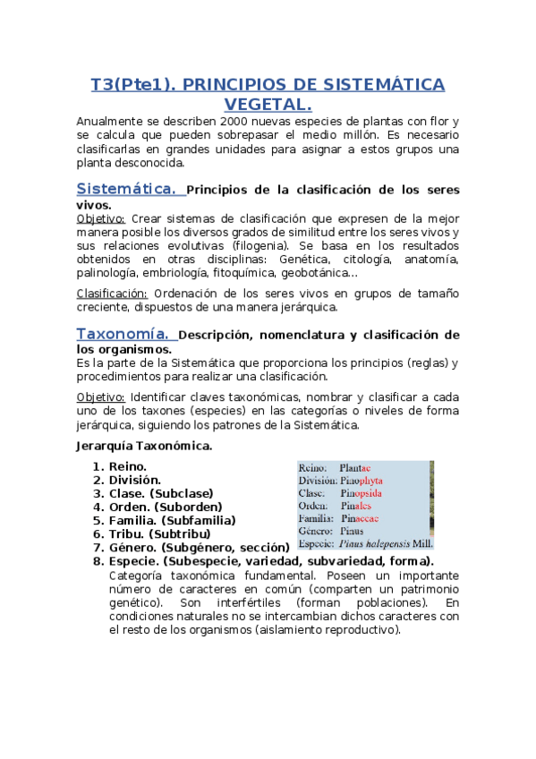 Miniatura del documento T3.docx