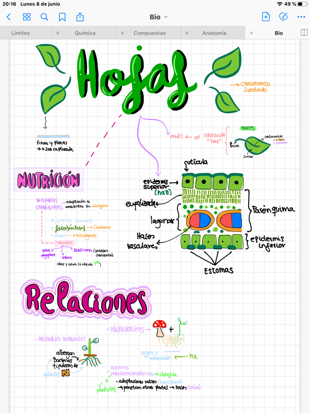 Miniatura del documento IMG0752.png