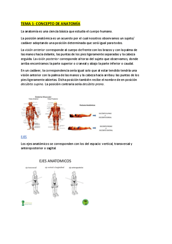 Miniatura del documento Anatomia-Curso-entero.pdf