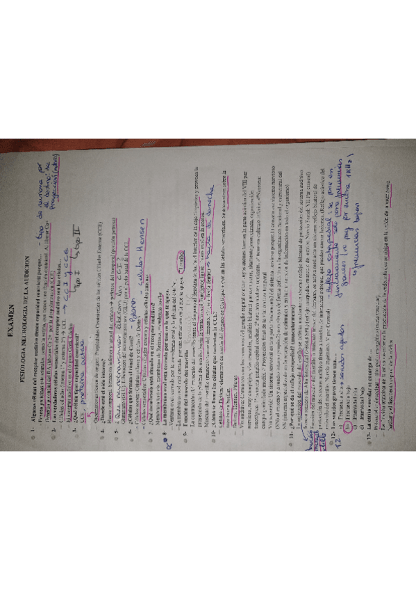 Miniatura del documento examen-neurologia-de-la-audicion-.pdf
