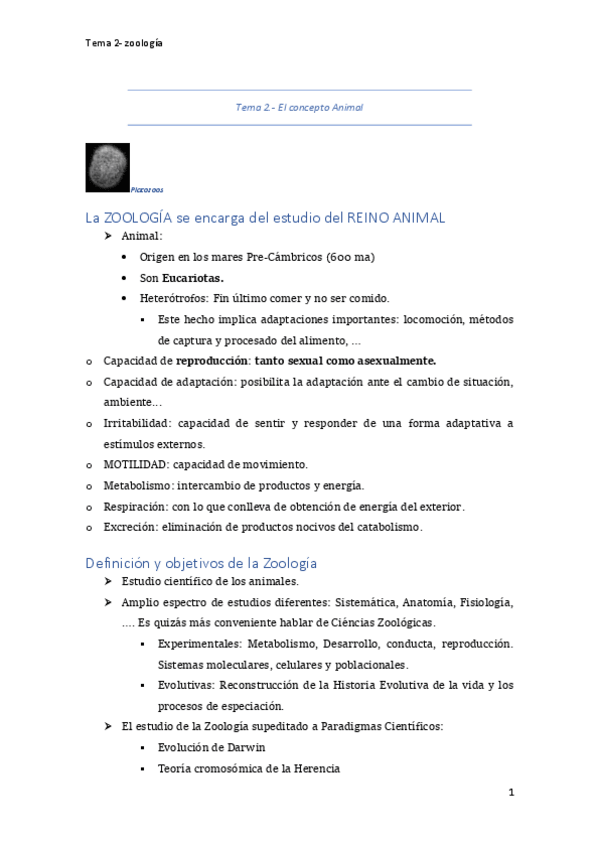 Miniatura del documento Tema-2-El-concepto-Animal.pdf