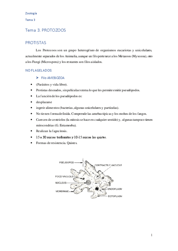 Miniatura del documento Tema-3-Protozoos.pdf