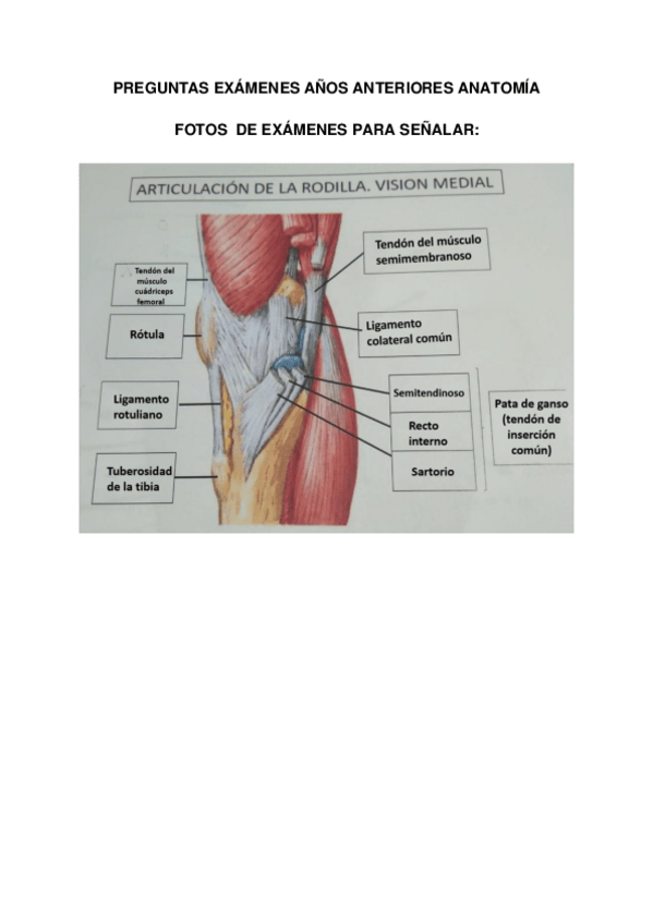 Miniatura del documento LAMINAS-DE-EXAMENES-DE-ANOS-ANTERIORES.pdf
