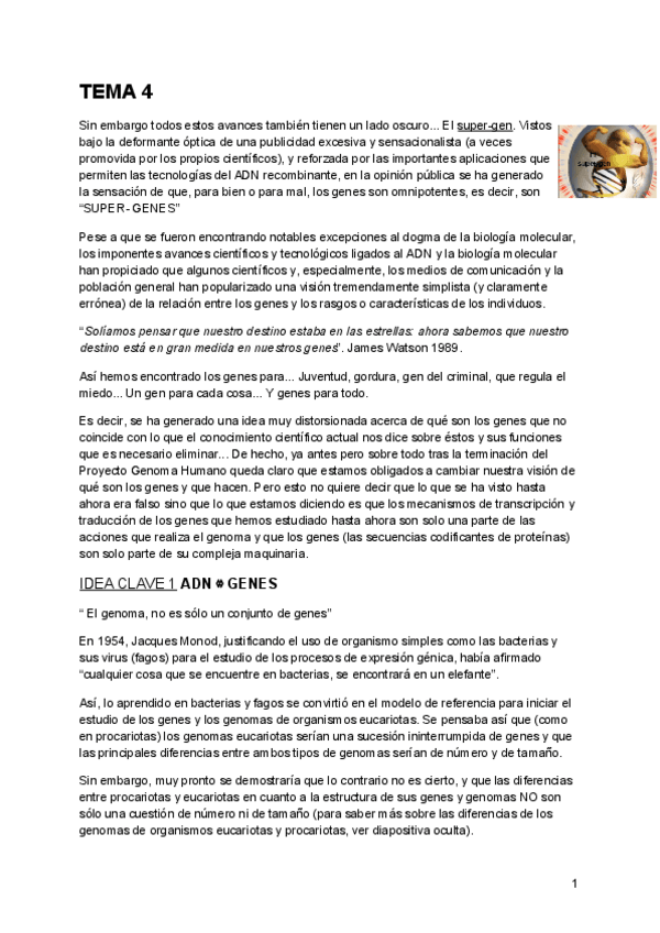 Miniatura del documento Tema-4.pdf