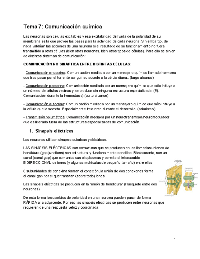 Miniatura del documento Tema-7.pdf