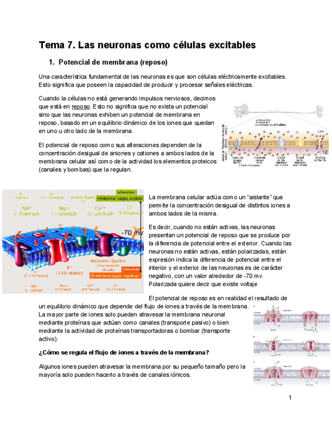 Miniatura del documento Tema-6.pdf
