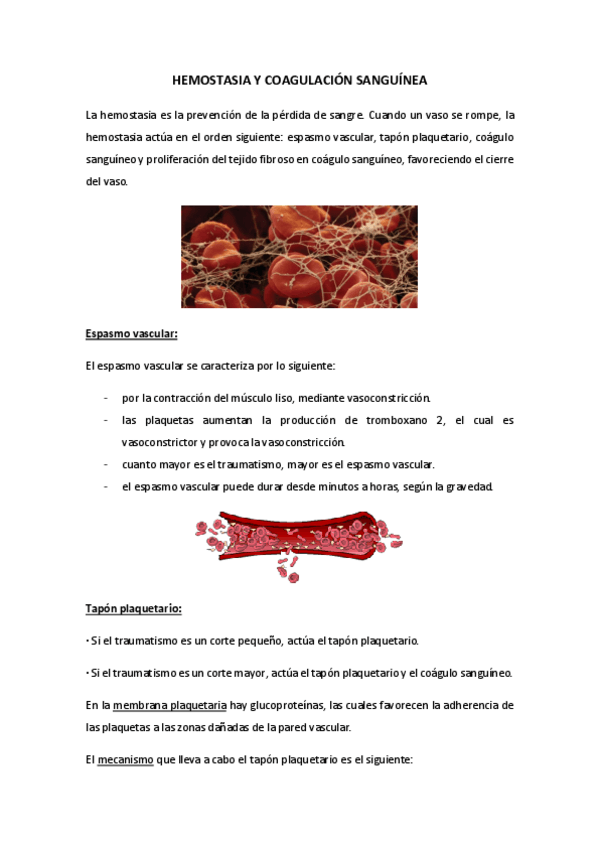 Miniatura del documento HEMOSTASIA-Y-COAGULACION-SANGUINEA.pdf