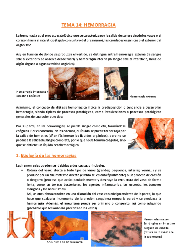 Miniatura del documento TEMA-14-Anatomia-Patologica-General.pdf