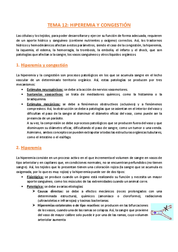 Miniatura del documento TEMA-12-Anatomia-Patologica-General.pdf