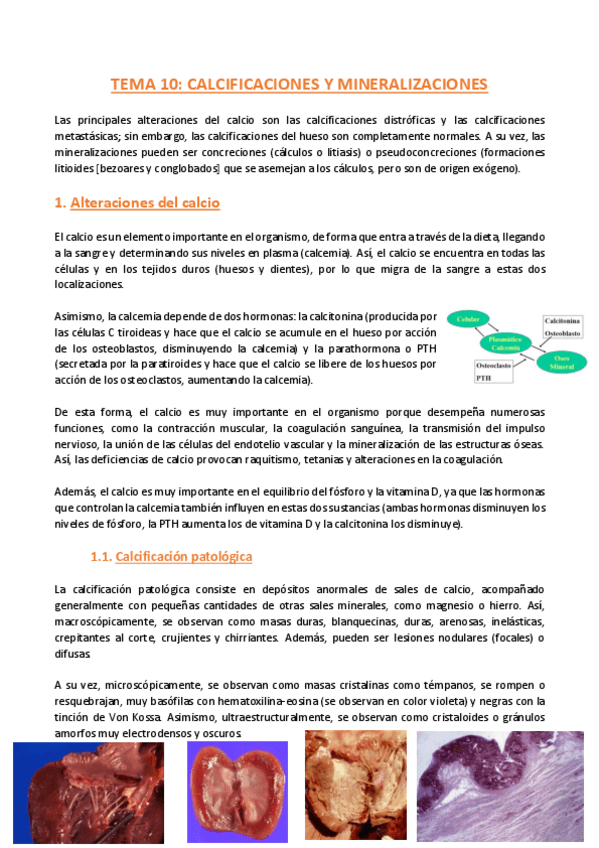 Miniatura del documento TEMA-10-Anatomia-Patologica-General.pdf