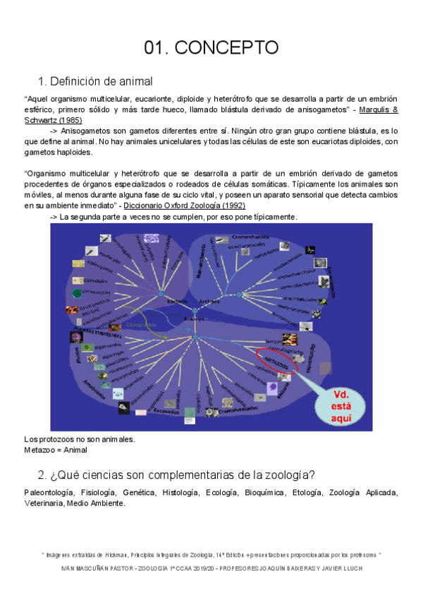 Miniatura del documento ZOO-01-Concepto-1.pdf