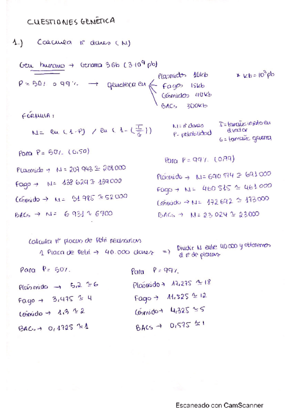 Miniatura del documento Cuestiones-genetica.pdf