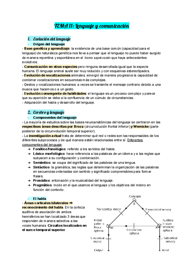 Miniatura del documento TEMA-11-Lenguaje-y-comunicacion.pdf
