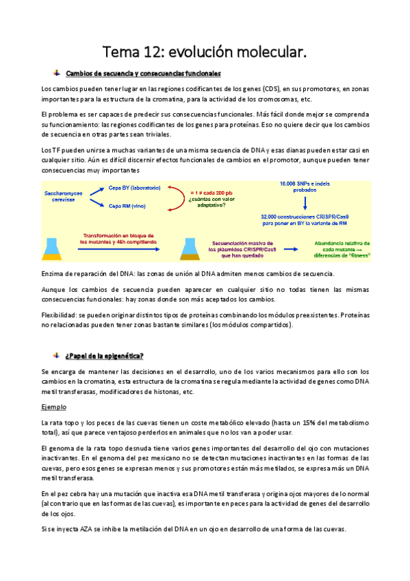 Miniatura del documento tema-12.pdf